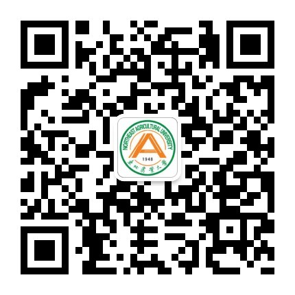 万象城allwincity官网研究生教育